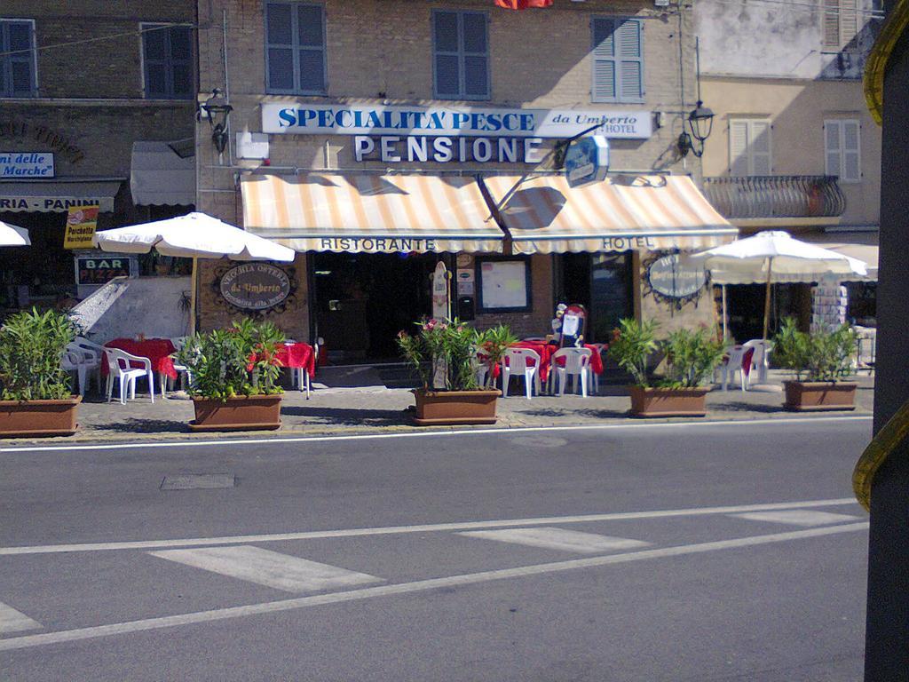Pensione Delfino Azzurro โลเรโต ภายนอก รูปภาพ